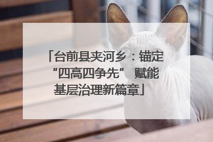 台前县夹河乡：锚定“四高四争先” 赋能基层治理新篇章