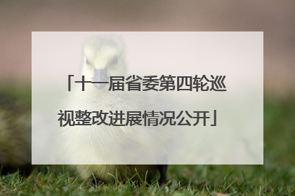 十一届省委第四轮巡视整改进展情况公开