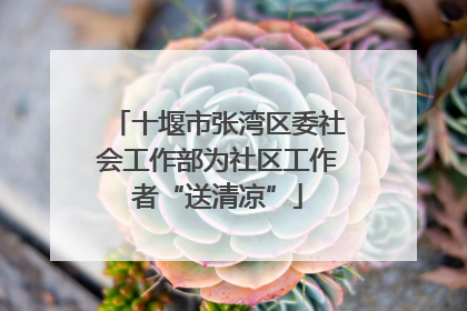 十堰市张湾区委社会工作部为社区工作者“送清凉”