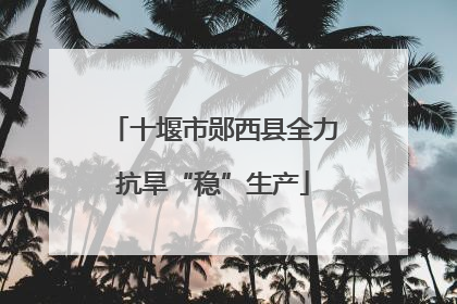 十堰市郧西县全力抗旱“稳”生产