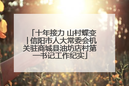 十年接力 山村蝶变│信阳市人大常委会机关驻商城县油坊店村第一书记工作纪实