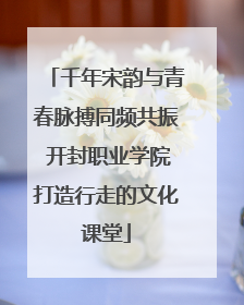 千年宋韵与青春脉搏同频共振 开封职业学院打造行走的文化课堂
