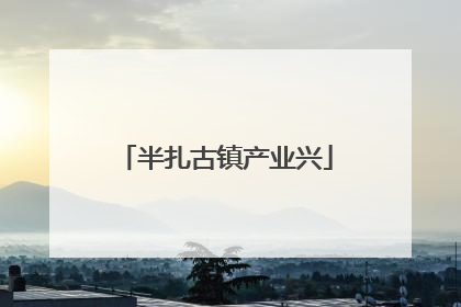 半扎古镇产业兴