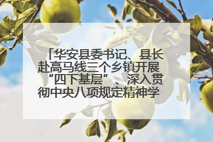 华安县委书记、县长赴高马线三个乡镇开展“四下基层”、深入贯彻中央八项规定精神学习教育工作调研
