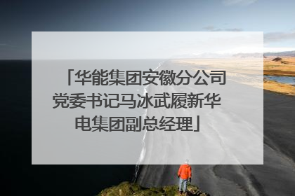 华能集团安徽分公司党委书记马冰武履新华电集团副总经理