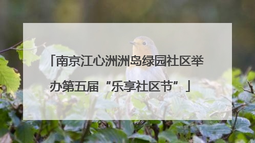 南京江心洲洲岛绿园社区举办第五届“乐享社区节”