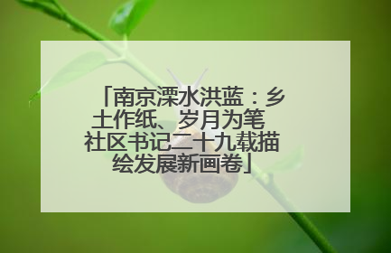 南京溧水洪蓝：乡土作纸、岁月为笔 社区书记二十九载描绘发展新画卷