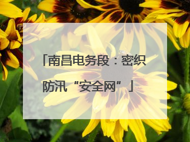南昌电务段：密织防汛“安全网”