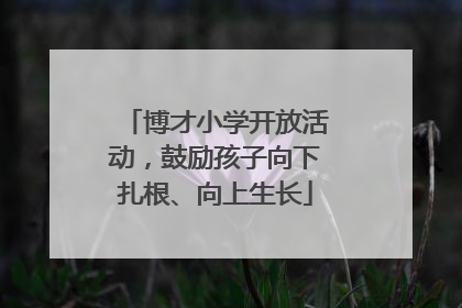 博才小学开放活动，鼓励孩子向下扎根、向上生长