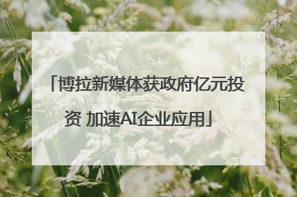 博拉新媒体获政府亿元投资 加速AI企业应用