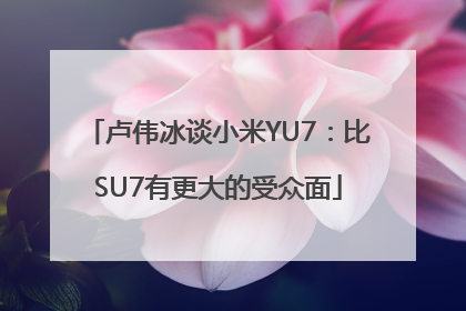 卢伟冰谈小米YU7：比SU7有更大的受众面