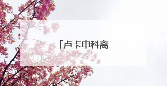 卢卡申科离京前表态