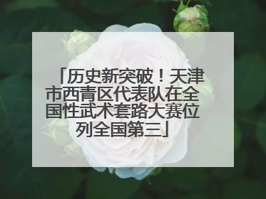 历史新突破！天津市西青区代表队在全国性武术套路大赛位列全国第三