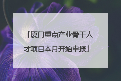 厦门重点产业骨干人才项目本月开始申报