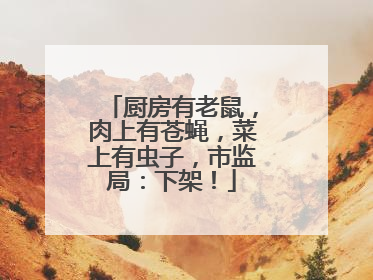 厨房有老鼠，肉上有苍蝇，菜上有虫子，市监局：下架！