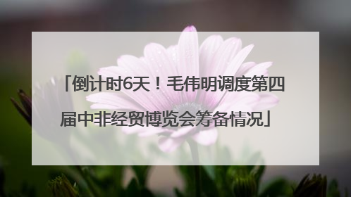 倒计时6天！毛伟明调度第四届中非经贸博览会筹备情况