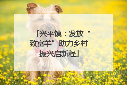 兴平镇：发放“致富羊”助力乡村振兴启新程