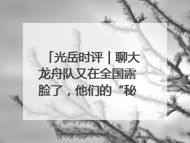 光岳时评｜聊大龙舟队又在全国露脸了，他们的“秘密”训练基地不是秘密！