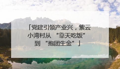 党建引领产业兴，紫云小湾村从 “靠天吃饭” 到 “抱团生金”