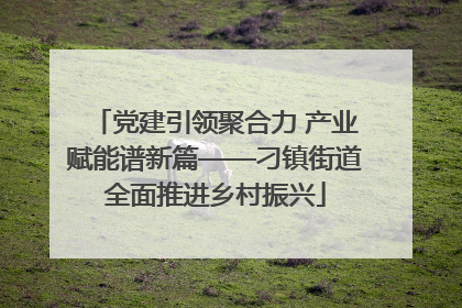 党建引领聚合力 产业赋能谱新篇——刁镇街道全面推进乡村振兴