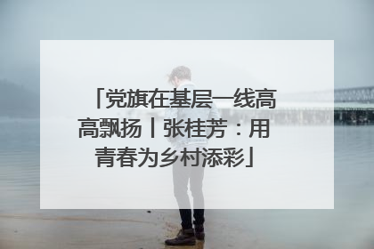 党旗在基层一线高高飘扬丨张桂芳：用青春为乡村添彩