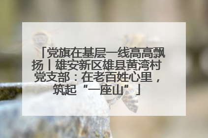 党旗在基层一线高高飘扬丨雄安新区雄县黄湾村党支部：在老百姓心里，筑起“一座山”