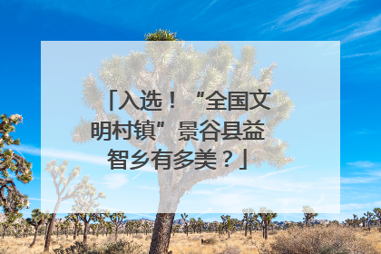 入选！“全国文明村镇”景谷县益智乡有多美？