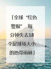 全球“红色警报”  每分钟失去18个足球场大小的热带雨林
