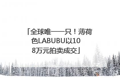 全球唯一一只！薄荷色LABUBU以108万元拍卖成交