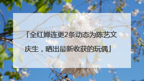 全红婵连更2条动态为陈艺文庆生，晒出最新收获的玩偶