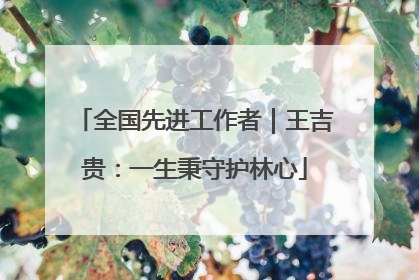全国先进工作者｜王吉贵：一生秉守护林心