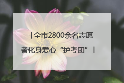 全市2800余名志愿者化身爱心“护考团”