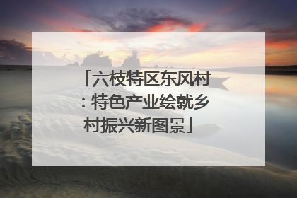 六枝特区东风村：特色产业绘就乡村振兴新图景