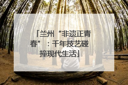 兰州“非遗正青春”：千年技艺碰撞现代生活