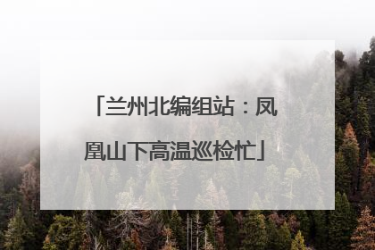 兰州北编组站：凤凰山下高温巡检忙