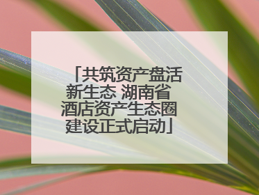 共筑资产盘活新生态 湖南省酒店资产生态圈建设正式启动