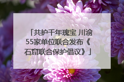 共护千年瑰宝 川渝55家单位联合发布《石窟联合保护倡议》