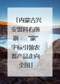 内蒙古兴安盟科右前旗：“蒙”字标引领农畜产品走向全国