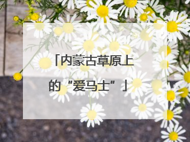 内蒙古草原上的“爱马士”