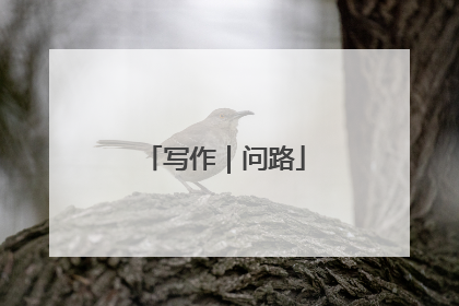写作｜问路