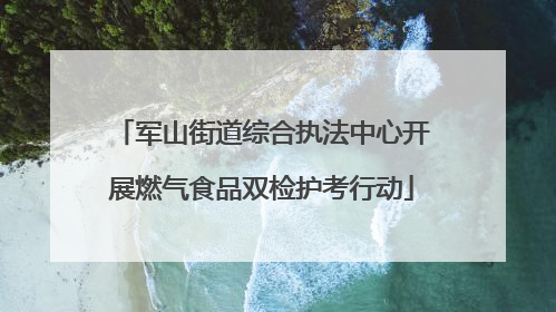 军山街道综合执法中心开展燃气食品双检护考行动