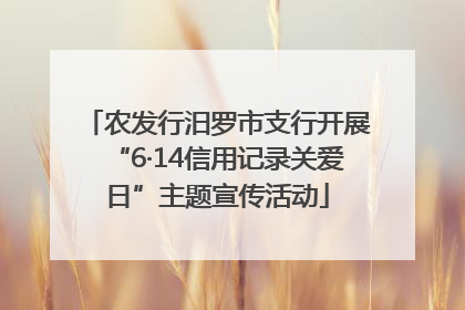 农发行汨罗市支行开展“6·14信用记录关爱日”主题宣传活动