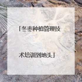 冬枣种植管理技术培训到地头