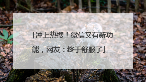 冲上热搜！微信又有新功能，网友：终于舒服了