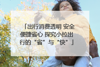 出行消费透明 安全便捷省心 探究小拉出行的“省”与“快”