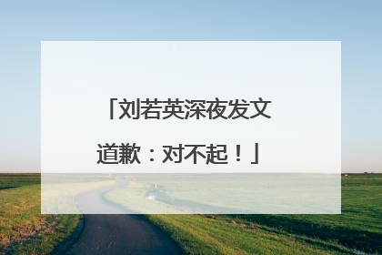 刘若英深夜发文道歉：对不起！