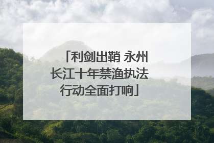 利剑出鞘 永州长江十年禁渔执法行动全面打响
