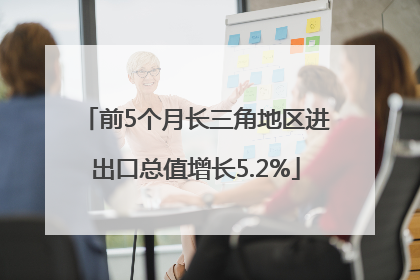 前5个月长三角地区进出口总值增长5.2%