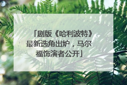 剧版《哈利波特》最新选角出炉，马尔福饰演者公开