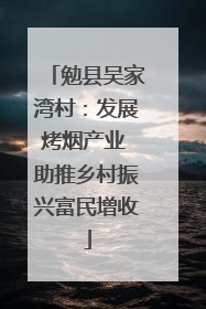 勉县吴家湾村：发展烤烟产业 助推乡村振兴富民增收